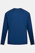 JAY-PI-funktionstrøje i FLEXNAMIC® og QuickDry, fitness, op til str. 7XL
