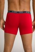 JP 1880 Mid-Pants FLEXNAMIC®, OEKO-TEX, 2er-Pack, Unterhose, bis 8XL