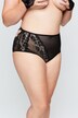 High Waist Sheer Lace Panty
