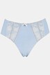 Piped Accent Sheer Lace Inset Stretch Microfiber Panty