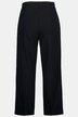 Dressy Lined Wide Leg Marlene Fit Stretch Crop Pants