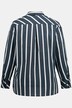 Hemdbluse, Streifen, Hemdkragen, Langarm