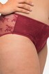 Sheer Lace Inset Stretch Panties