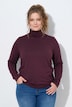 Shirt, Rollkragen, Slim, Langarm, Biobaumwolle