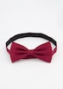 Nœud papillon# avec crochet d'attache, pure soie