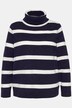 Stripe Fine Knit Turtleneck Sweater