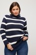 Stripe Fine Knit Turtleneck Sweater