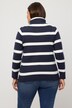 Stripe Fine Knit Turtleneck Sweater