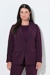 Blazer, Acetat, Reverskragen, Knopfverschluss
