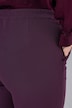 Triacetate Blend Wide Straight Leg Suit Pants