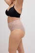 Maxislips, 2er-Pack, tonige Spitze, High Waist
