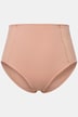Lace Panel High Waisted shaping Panty