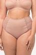 Lace Panel High Waisted shaping Panty