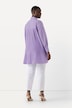 Bluse, Plissee, A-Linie, Hemdkragen, Langarm
