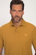 Poloshirt, Basic, Halbarm, Piqué, bis 8XL