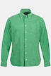 Cordhemd, Langarm, Buttondown Kragen, Modern Fit, bis 8 XL