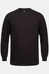 Pullover, offene Kanten, Rundhals, Raglan-Langarm