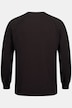 Pullover, offene Kanten, Rundhals, Raglan-Langarm