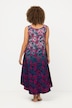 Sheer Gradient Floral Print Sleeveless Dress