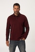 Poloshirt, Langarm, Piqué, Polokragen