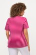 Striped Minimalist Animal Short Sleeve V-Neck Graphic Tee