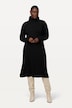 Knit Long Sleeve Turtleneck Dress