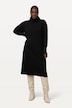 Knit Long Sleeve Turtleneck Dress