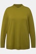 Long Sleeves Mock Turtleneck Sweater