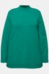 Pullover, Stehkragen, Langarm, Rippbündchen