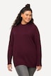 Pullover, Stehkragen, Langarm, Rippbündchen