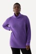 Rollkragen-Pullover, weicher Feinstrick, Langarm