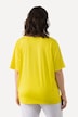Waterfall Neckline Short Sleeve Top
