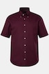 Hemd, Halbarm, Buttondown-Kragen, Modern Fit, bis 8 XL