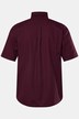 Hemd, Halbarm, Buttondown-Kragen, Modern Fit, bis 8 XL