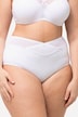 Shaping Mesh Waist Panty