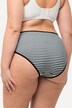 5 Pack of Midi Briefs- Stripe