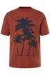 Tričko, krátké rukávy, palmový potisk, vintage vzhled, do 8XL