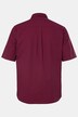Ternet tyrolerskjorte, traditionelt look, kortærmet, button-down krave, moderne pasform, op til 8 XL