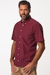 Ternet tyrolerskjorte, traditionelt look, kortærmet, button-down krave, moderne pasform, op til 8 XL