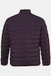 Steppjacke, Technodaune, Stehkragen, bis 8 XL