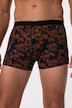 Hip pants FLEXNAMIC®, 2-pack, underpants