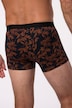 Hip pants FLEXNAMIC®, 2-pack, underpants