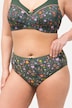 5 Pack of Panties- Ditsy Floral