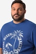 Men+ T-shirt buik-fit, korte mouwen, palmenprint, tot 84/86