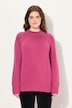 Pullover, pyntesyninger, stående krave, langærmet, økologisk bomuld