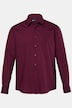 Businesshemd, Langarm, EasyCare, Kentkragen, Comfort Fit, bis 8 XL