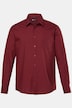 Businesshemd, Langarm, EasyCare, Kentkragen, Comfort Fit, bis 8 XL