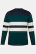 JP1880 pyjama, tweedelig, gestreept shirt met lange mouwen, tot 8XL