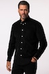 Chemise en velours côtelé JP 1880, manches longues et col à pointes boutonnées, coupe Modern Fit - jusqu'au 8 