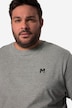 Men+ T-Shirt, Halbarm, Bauchfit, Basic, Rundhals, bis 8 XL